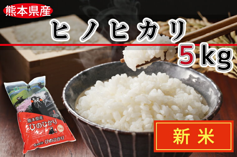 【ふるさと納税】★新米★【先行予約】令和4年産　ひのひかり5kg　おひとり様　一人暮らし　コロナ支援（FKK19-400）