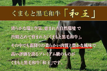 【ふるさと納税】熊本和王 モモステーキ 400g 牛肉 肉 ステーキ 和牛 訳あり コロナ支援(FKK19-206)