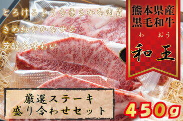 【ふるさと納税】熊本和王 厳選ステーキ盛り合わせセット 450g 牛肉 肉 和牛 ステーキ 訳あり コロナ支援（FKK19-209）