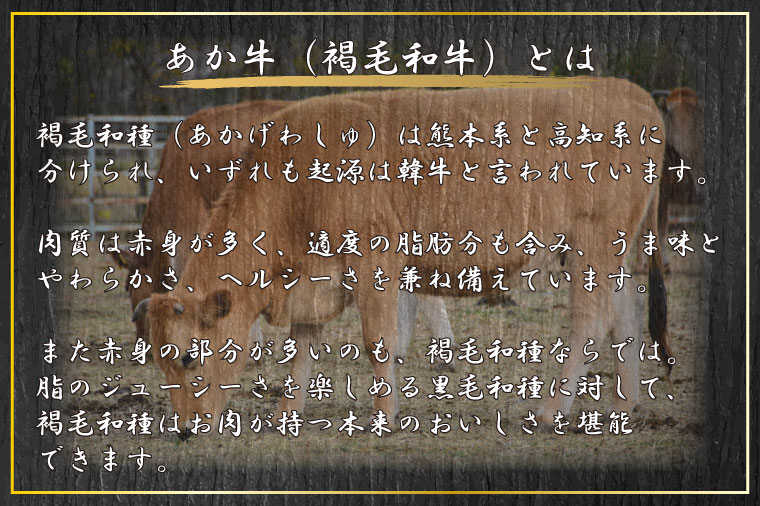 【ふるさと納税】【贅沢セット】肥後あか牛サーロインステーキ440g＆あか牛100％使用　ハンバーグ100g x 10個（FKK19-266）