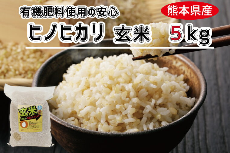 【ふるさと納税】熊本県産　有機肥料使用　ヒノヒカリ　玄米　5kg　コメ　有機　ひのひかり （AV006）