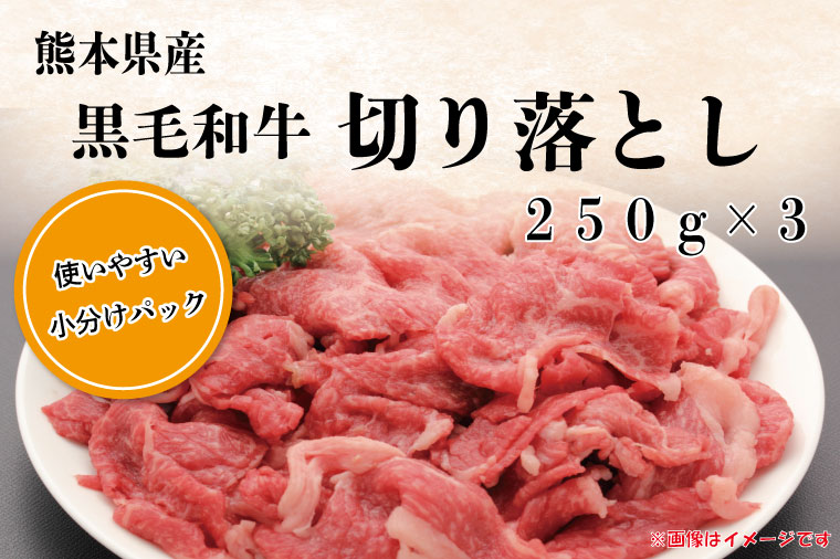 【ふるさと納税】これは便利！！使いやすい小分け250g×3P（熊本県産黒毛和牛切り落とし）訳あり(FKK19-277)