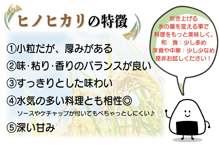 【ふるさと納税】【3回定期便】有機肥料使用の安心ヒノヒカリ　玄米5kg（AV007）