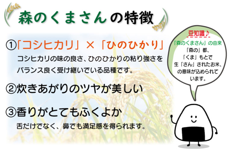 【ふるさと納税】【3回定期便】森のくまさん・ぴかまる　食べ比べセット　無洗米　10kg（各5kg×1）（FKK19-380）