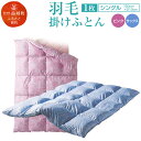 【ふるさと納税】西川 数量限定 羽毛掛けふとん シングルサイ...