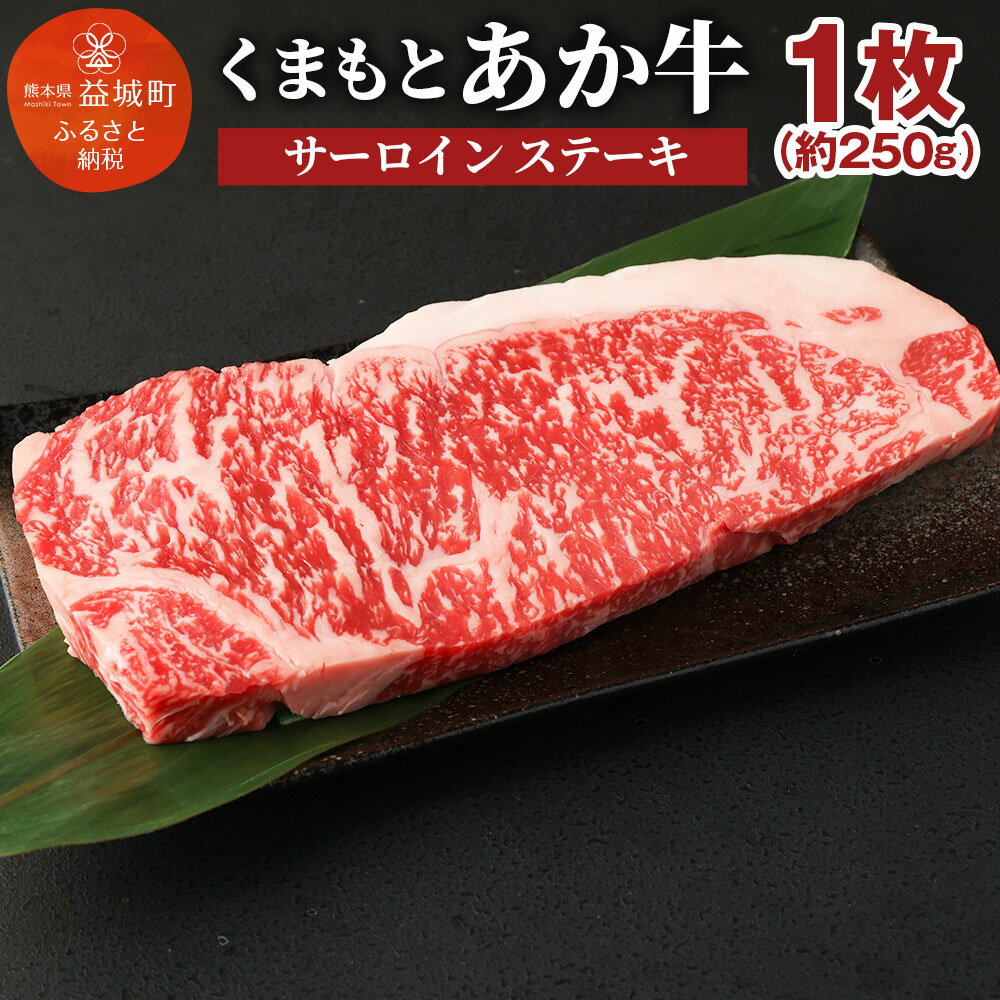 くまもと あか牛 サーロインステーキ 1枚 約250g 牛肉 和牛 お肉 2等級以上 冷凍 熊本県産 国産 送料無料[2024年1月上旬より順次発送予定]