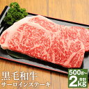 【ふるさと納税】くまもと黒毛和牛 サーロインステーキ 約500g/約1kg/約1.5kg/約2kg 選べる内容量 ソース・胡椒付き 牛肉 和牛 お肉 4等級以上...
