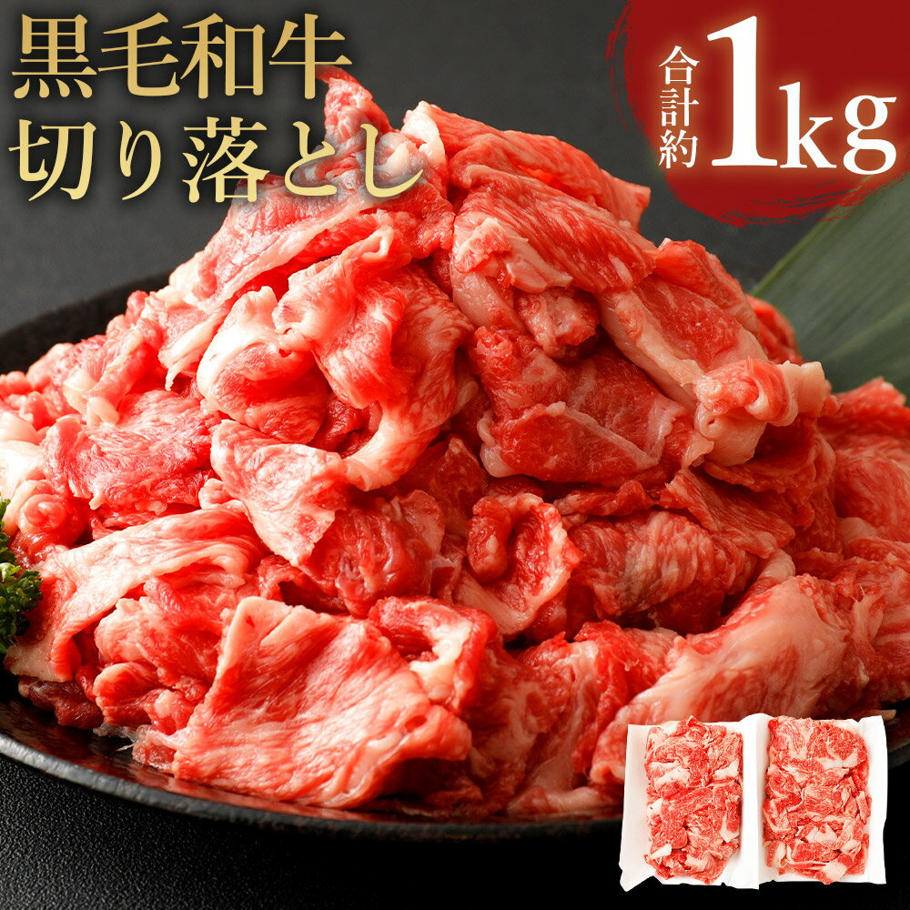 【ふるさと納税】【9月30日受付終了】九州産 黒毛和牛切り落とし 合計約1kg 約500g×2パック 小分け 4等級以上 A4等級以上 牛肉 お肉 冷凍 国産 送料無料