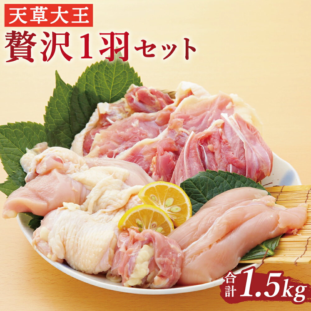 【ふるさと納税】天草大王 贅沢1羽セット 1.5kg 鶏肉 