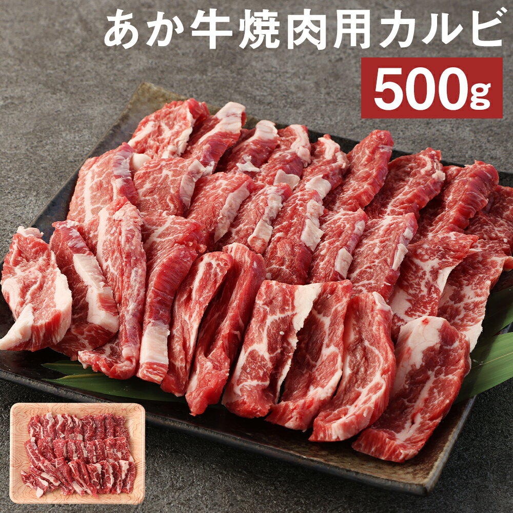 あか牛 焼肉用 カルビ 500g 焼き肉 GI 赤身 お肉 牛肉 熊本県産 九州産 国産 冷凍 送料無料