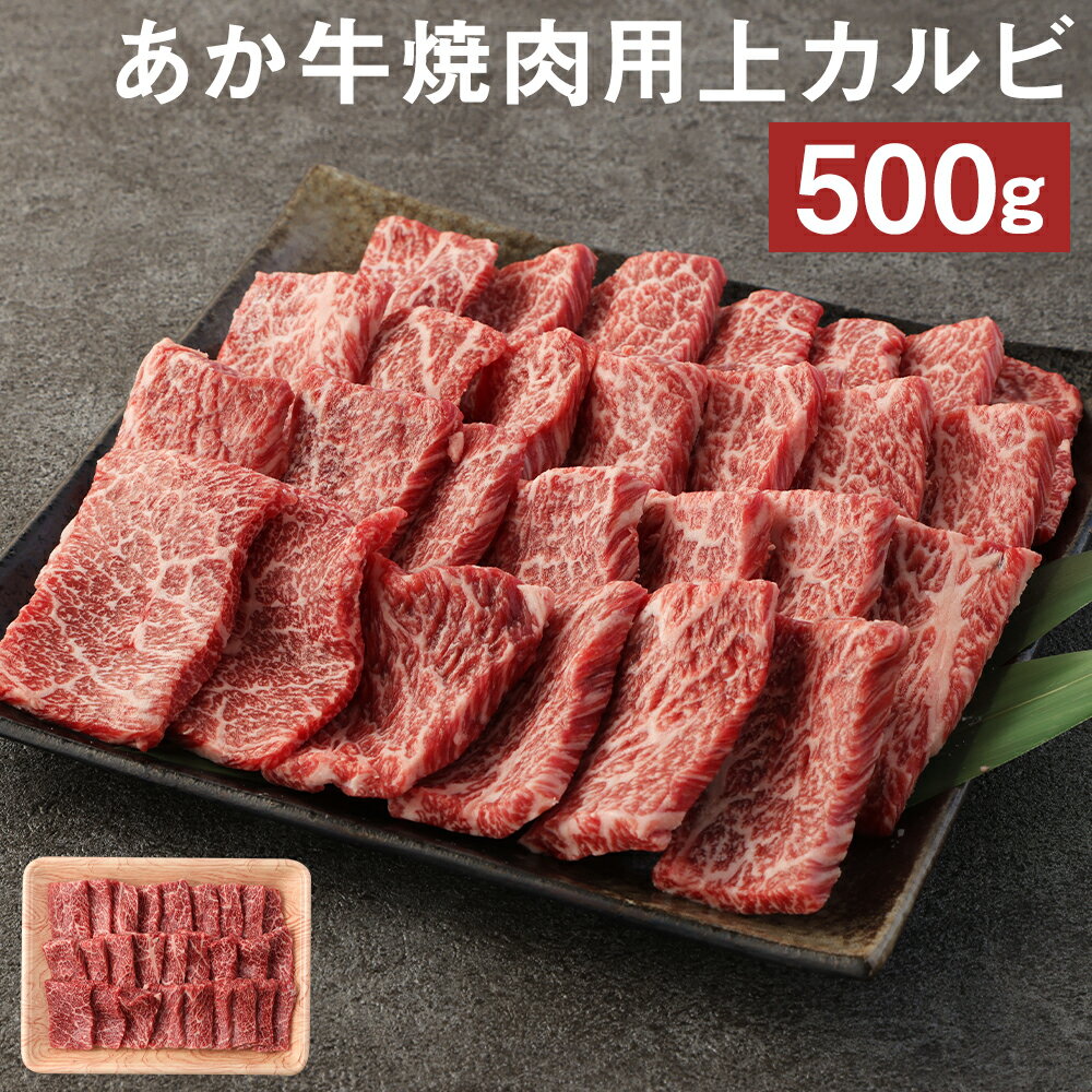 あか牛 焼肉用 上カルビ 500g 焼き肉 GI 赤身 お肉 牛肉 熊本県産 九州産 国産 冷凍 送料無料