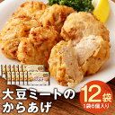 【ふるさと納税】大豆ミートのからあげ 6個入り×12袋 合計72個 大豆ミート 唐揚げ 代替肉 おかず 惣菜 冷凍食品 冷凍 送料無料