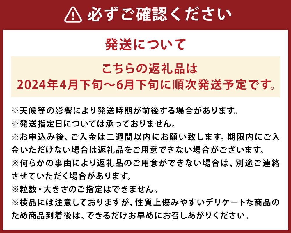 【ふるさと納税】スイカ だんらん 約7kg 1玉 2Lサイズ すいか フルーツ 果物 益城町産 熊本県産 九州産 送料無料【2024年4月下旬～6月下旬に順次発送予定】