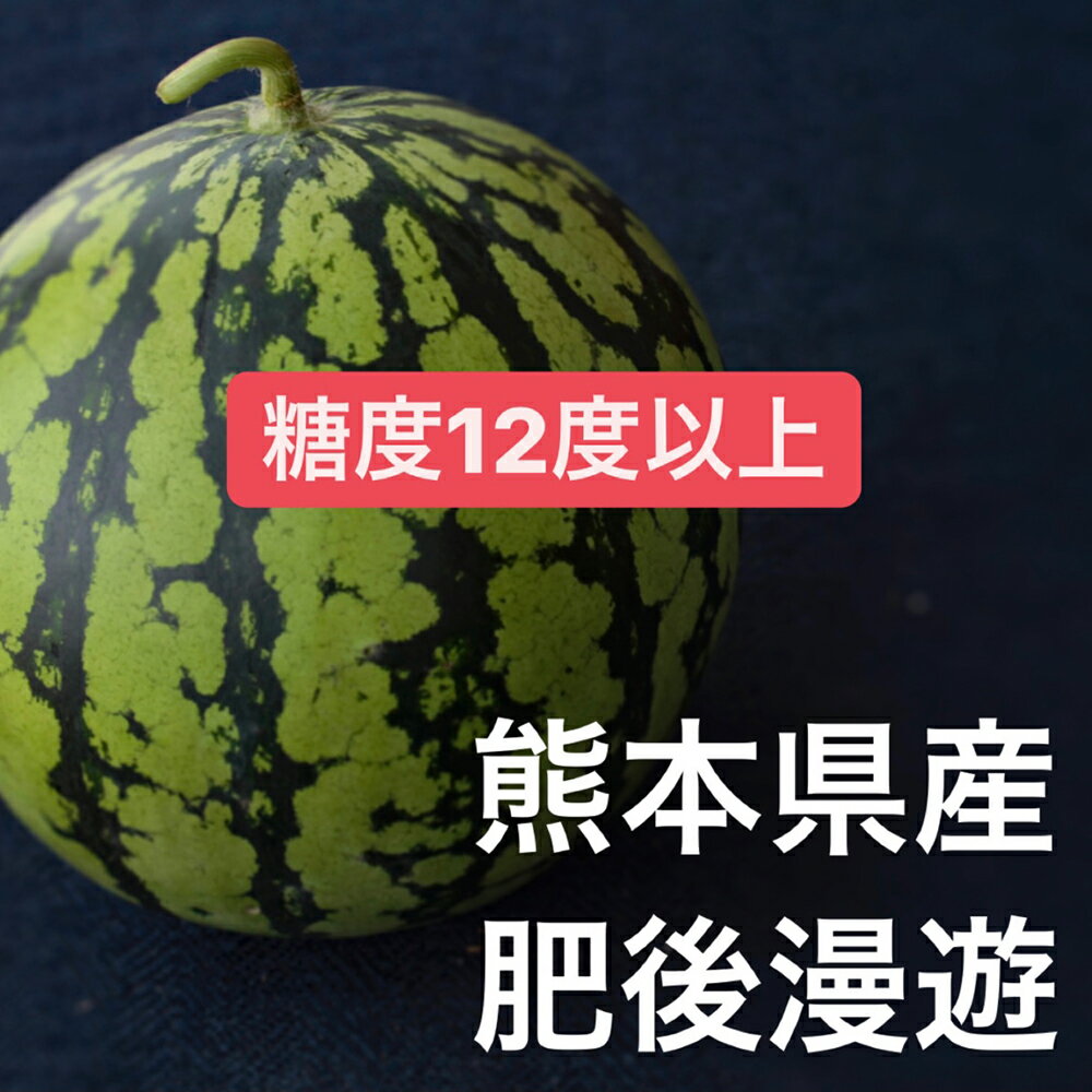 【ふるさと納税】スイカ 肥後漫遊 約7kg×2玉 合計約14kg 2Lサイズ すいか フルーツ 果物 益城町産 熊本県産 九州産 送料無料【2024年4月下旬～6月下旬に順次発送予定】