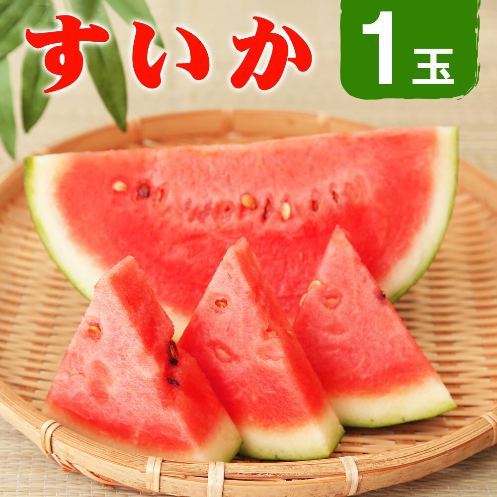 スイカ 約5kg以上 1玉 品種おまかせ ランダム すいか 西瓜 益城町産 熊本県産 九州産 国産 フルーツ 果物 冷蔵 送料無料[2024年3月下旬より順次発送予定]