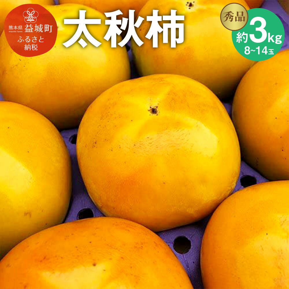 【ふるさと納税】太秋柿 秀品 約3kg 8~14玉 柿 果物 フルーツ 益城町産 熊本県産 九州産 送料無料 【2023年10月下旬より順次発送予定】のサムネイル