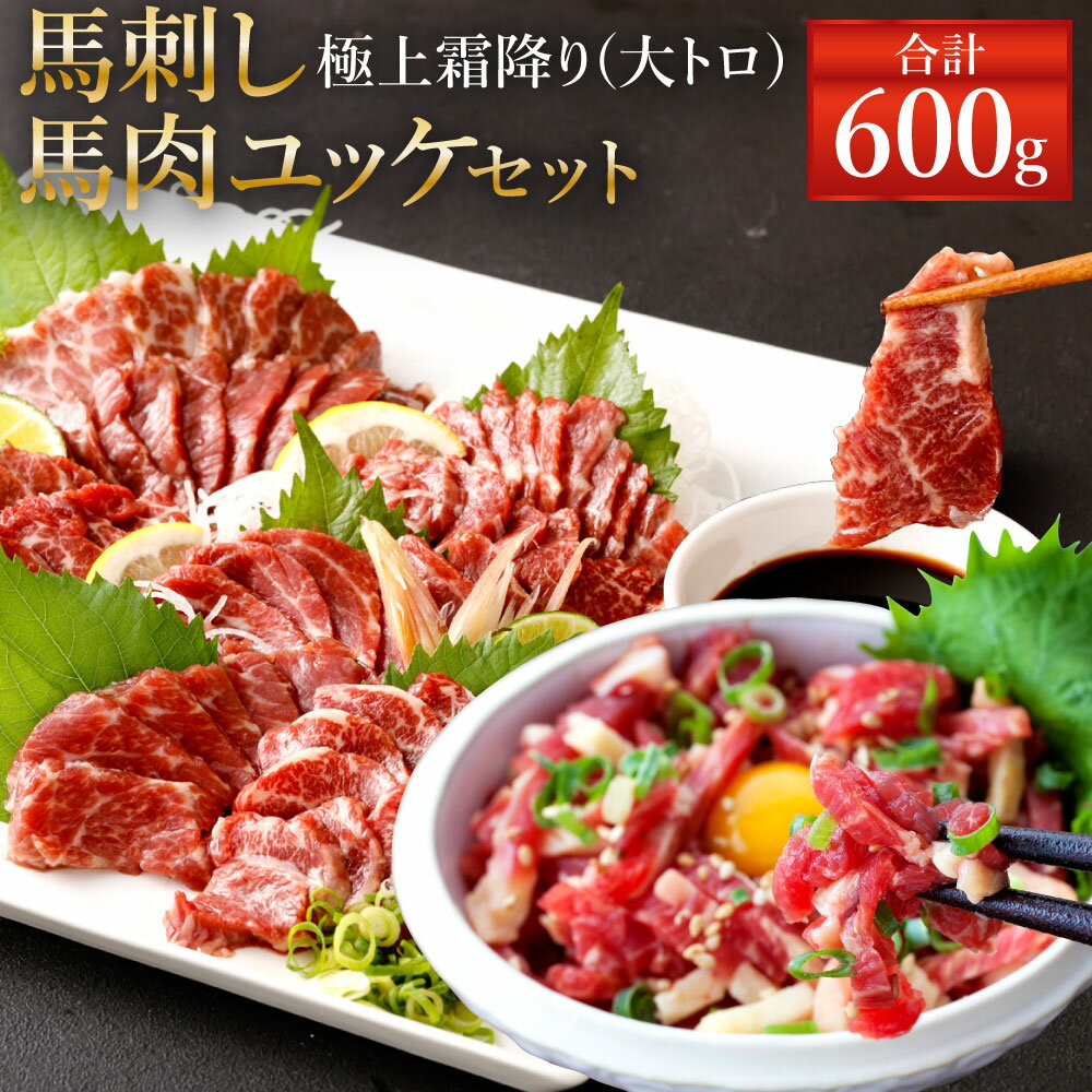 【ふるさと納税】熊本 馬刺し 極上霜降り(大トロ) 300g(50g×6個) 馬肉ユッケ 300g(50g×6個) 合計600g セット タレ付き(6袋) 生姜付き(6袋) ユッケたれ付き(6袋) 馬刺 ばさし ユッケ 馬肉 馬 極上霜降り 刺身 ブロック 食べ比べ 冷凍 熊本県 送料無料