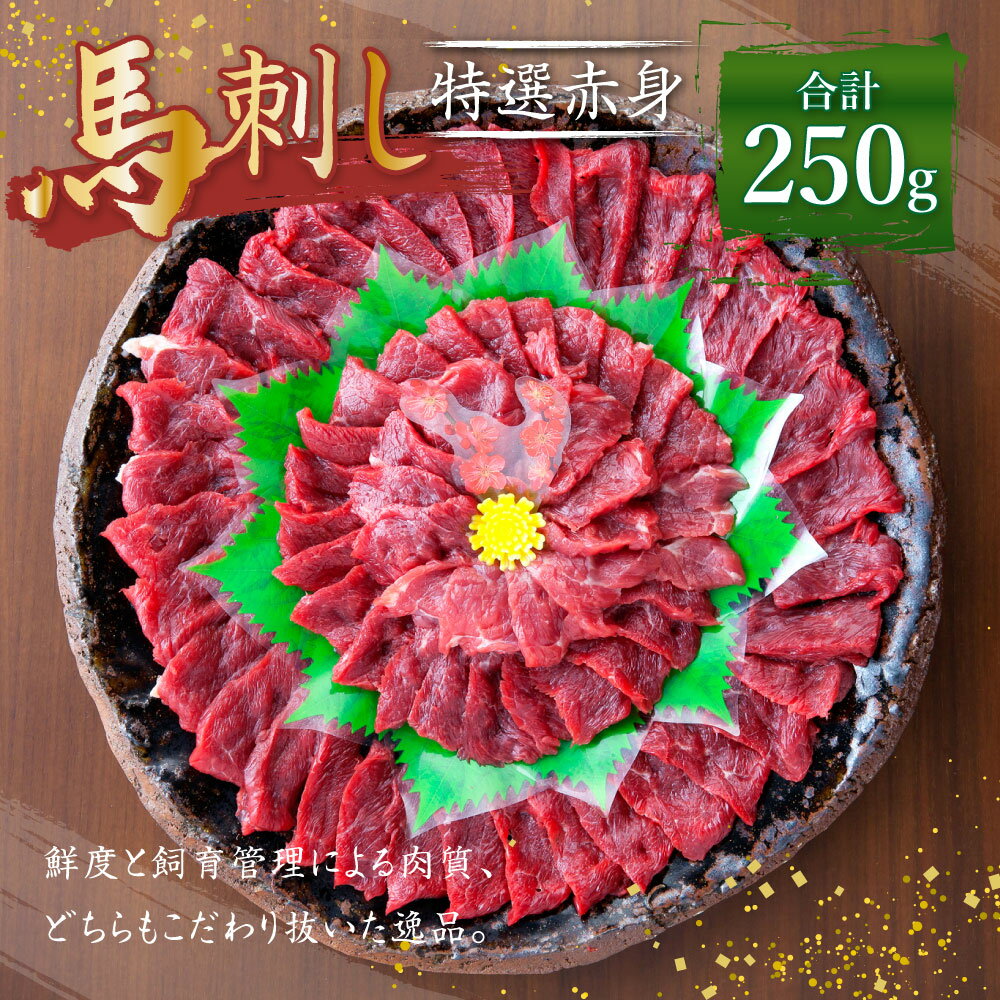 【ふるさと納税】熊本 馬刺し 特選 赤身 250g(50g×5個) タレ付き(5袋) 生姜付き(5袋) 馬刺 ばさし 馬肉 馬 赤身 刺身 ブロック 冷凍 熊本県 送料無料