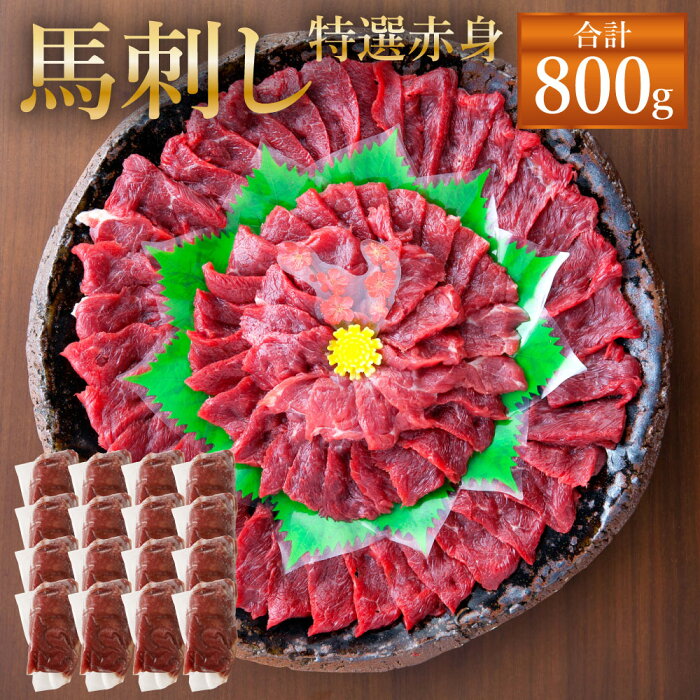 【ふるさと納税】熊本 馬刺し 特選 赤身 800g(50g×16個) タレ付き(16袋) 生姜付き(16袋) 馬刺 ばさし 馬肉 馬 赤身 刺身 ブロック 冷凍 熊本県 送料無料