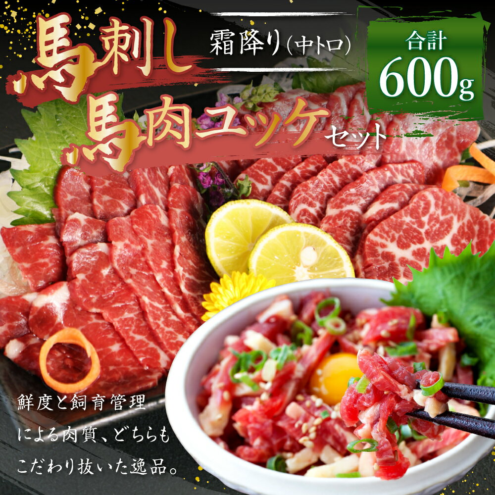 【ふるさと納税】霜降り 中トロ・馬肉ユッケセット 合計600g 各300g 2種類 タレ・生姜・ユッケたれ付き 馬刺 ばさし ユッケ 馬肉 馬 霜降り 中トロ 刺身 ブロック 食べ比べ 冷凍 熊本県 送料無料