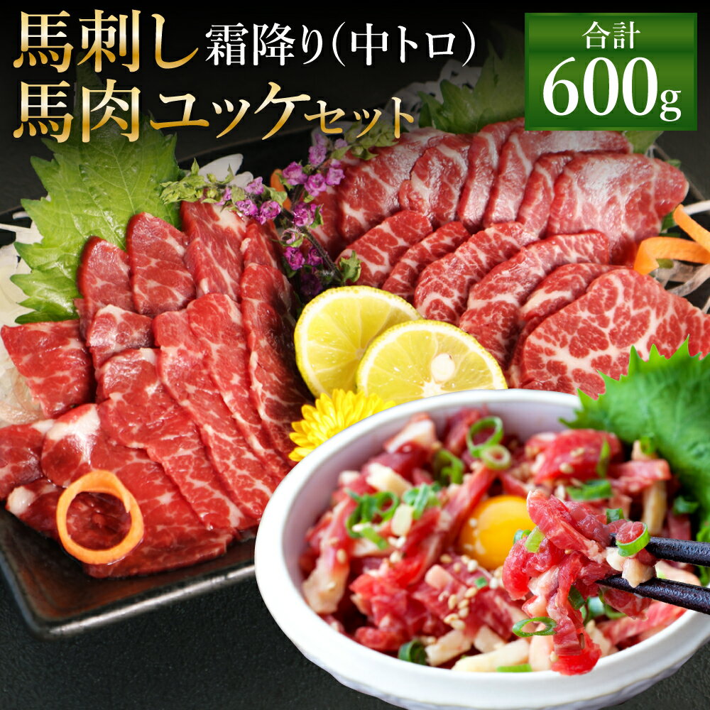 【ふるさと納税】霜降り 中トロ・馬肉ユッケセット 合計600g 各300g 2種類 タレ・生姜・ユッケたれ付き 馬刺 ばさし ユッケ 馬肉 馬 霜降り 中トロ 刺身 ブロック 食べ比べ 冷凍 熊本県 送料無料のサムネイル
