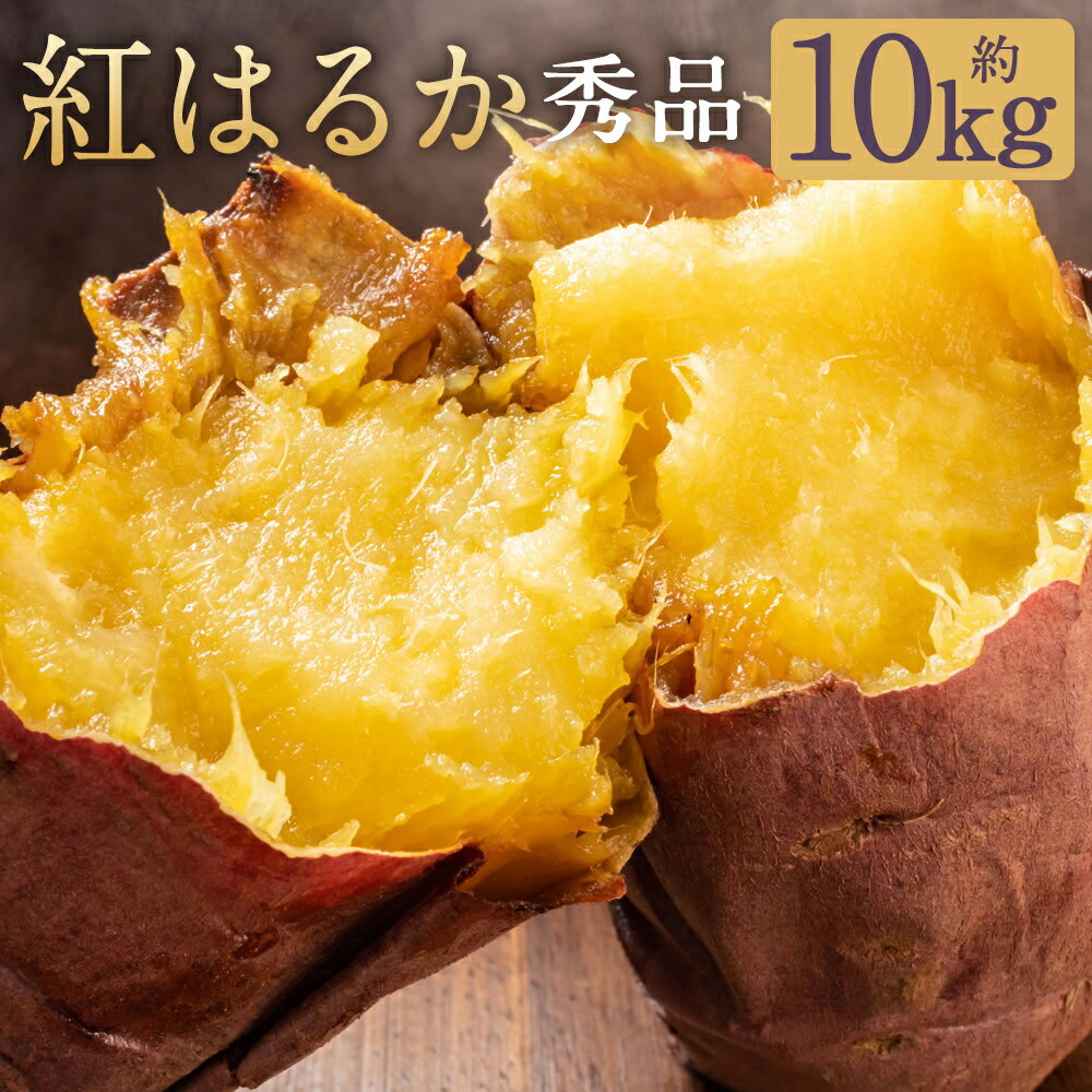 【ふるさと納税】紅はるか 秀品 約10kg S～2L混合 べにはるか さつまいも 紅蜜芋 芋 いも 野菜 益城町産 熊本県産 九州産 送料無料