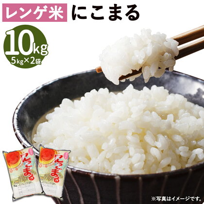 レンゲ米 にこまる 合計10kg 5kg×2袋 令和5年産 お米 米 精米 白米 れんげ米 熊本県産 九州産 益城町産 送料無料