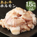 あか牛 ホルモン 合計1.5kg 250g×2パック×3回お届け 3ヶ月 定期便 小腸 シロホルモン もつ 和牛 カット済み 加熱調理用 熊本県産 九州産 国産 冷凍 送料無料