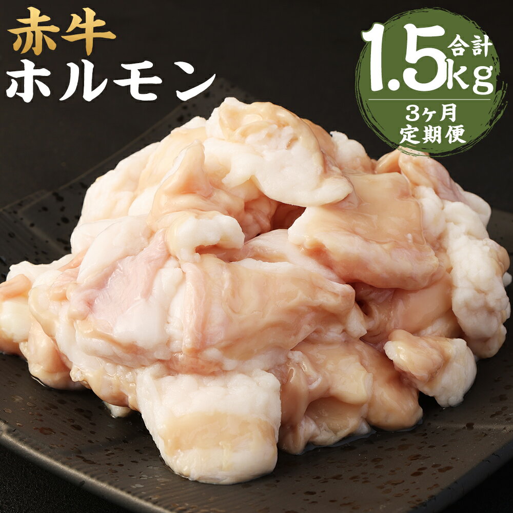 [3ヶ月定期便]赤牛 ホルモン 合計1.5kg 250g×2パック×3回お届け 3ヶ月 定期便 小腸 シロホルモン もつ 和牛 カット済み 加熱調理用 熊本県産 九州産 国産 冷凍 送料無料