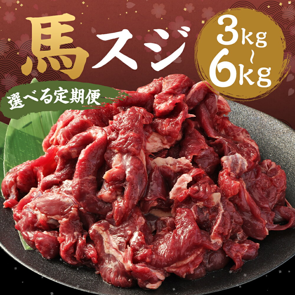【ふるさと納税】【選べる定期便】馬スジ 合計1kg 3ヶ月定期便/6ヶ月定期便 1パック500g 馬肉 筋 馬すじ 熊本肥育 冷凍 送料無料