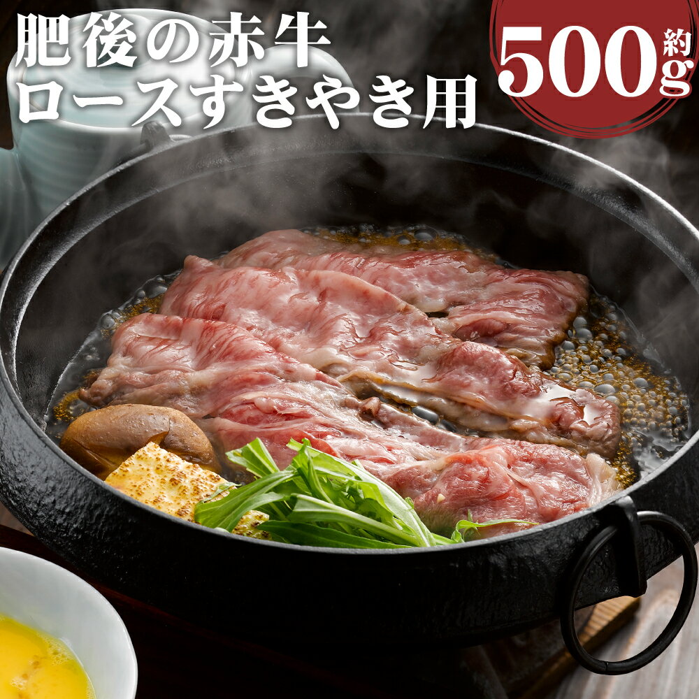 肥後の赤牛 ロース すきやき用 約500g すき焼き スライス あかうし 赤牛 牛肉 和牛 お肉 熊本県産 九州産 国産 冷凍 送料無料