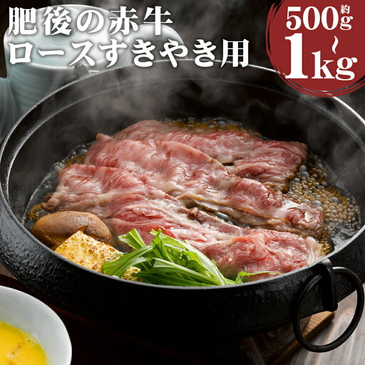 【ふるさと納税】肥後の赤牛 ロース すきやき用 約500g/約1kg 選べる内容量 すき焼き スライス あかうし 赤牛 牛肉 和牛 お肉 熊本県産 九州産 国産 冷凍 送料無料 【ふるさと納税】肥後の赤牛 ロース すきやき用 約500g/約1kg 選べる内容量 すき焼き スライス あかうし 赤牛 牛肉 和牛 お肉 熊本県産 九州産 国産 冷凍 送料無料