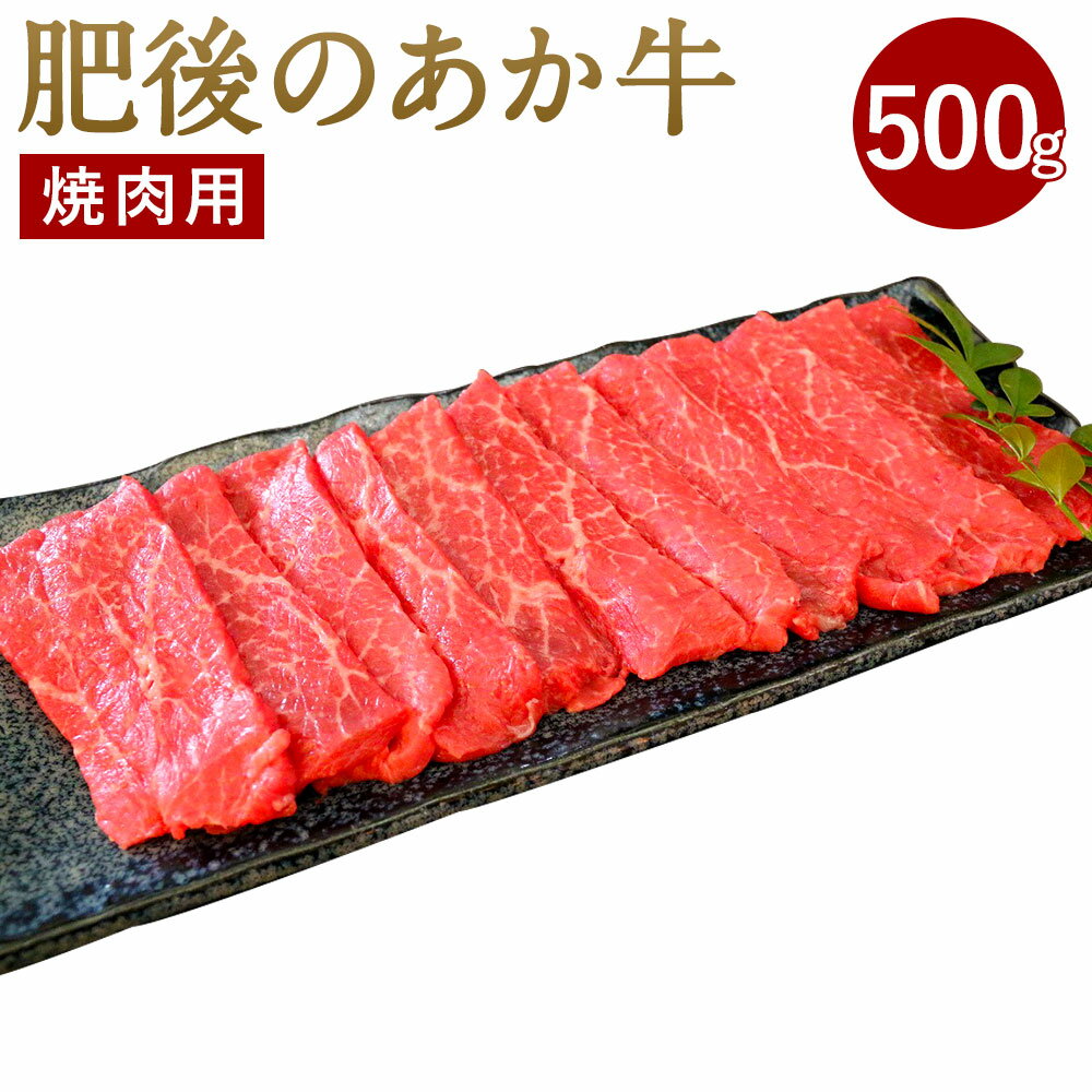 【ふるさと納税】肥後のあか牛 焼肉用 500g (熊本県産和牛) G-4 牛肉 お肉 九州産 国産 焼き肉 冷凍 送料無料