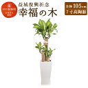 【ふるさと納税】益城復興祈念 幸福の木 全体105cm 7寸...