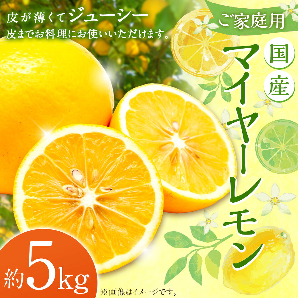 【ふるさと納税】【ご家庭用】国産マイヤーレモン 5kg レモン れもん 檸檬 くだもの 果物 果実 フルーツ 柑橘 かんきつ レモネード ハニーレモン 熊本県産 国産 九州 熊本県 益城町 送料無料