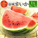 【ふるさと納税】益城すいか 1玉 4kg〜7kg スイカ 西...