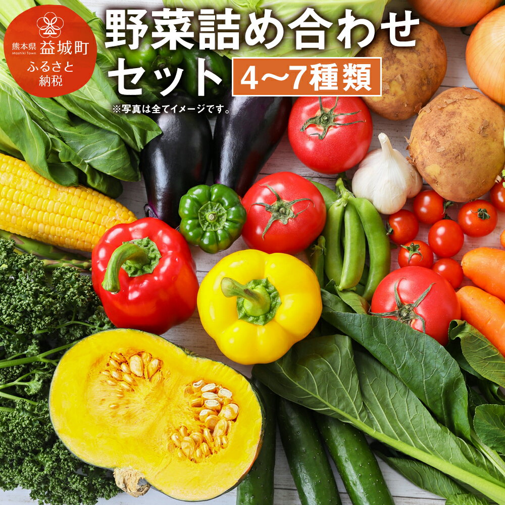 楽天熊本県益城町【ふるさと納税】季節の野菜詰め合わせセット 4〜7種類 セット おまかせ 野菜 冷蔵 熊本県産 国産 九州産 春 旬 春野菜 送料無料