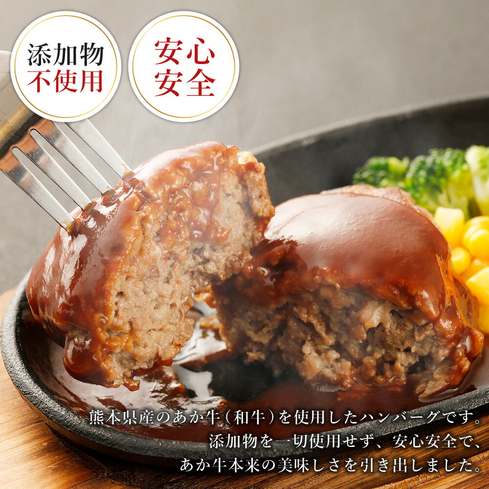 【ふるさと納税】熊本県産 あか牛 ハンバーグ 10個 合計1.5kg 150g×10個 添加物不使用 お肉 肉 牛肉 和牛 惣菜 個包装 冷凍 九州産 国産 送料無料