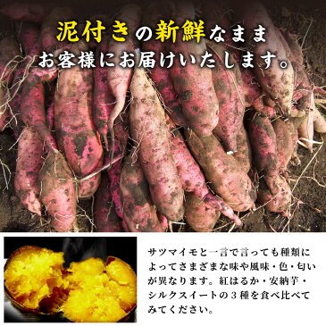 【ふるさと納税】芋屋長兵衛 さつまいも 3種 食べ比べ セット 10kg (5kg×2箱) 泥付き 紅はるか 安納芋 シルクスイート 焼き芋 熊本県産 九州産 送料無料