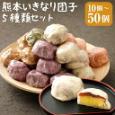 【ふるさと納税】熊本いきなり団子 5種類セット 10個/15個/20個/25個/30個/40個/50個 選べる内容量 プレーン 紫芋 よもぎ 黒糖 さくら スイーツ 詰め合わせ 九州産 さつまいも サツマイモ さつま芋 熊本名物 冷凍 送料無料