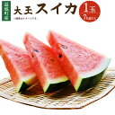 【ふるさと納税】スイカ大玉 1玉 7kg以上 すいか スイカ...