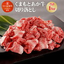 熊本県産 GI認証取得 くまもとあか牛 切り落とし 合計1kg 500g×2パック 牛肉 あか牛 お肉 冷凍 熊本県 益城町 送料無料