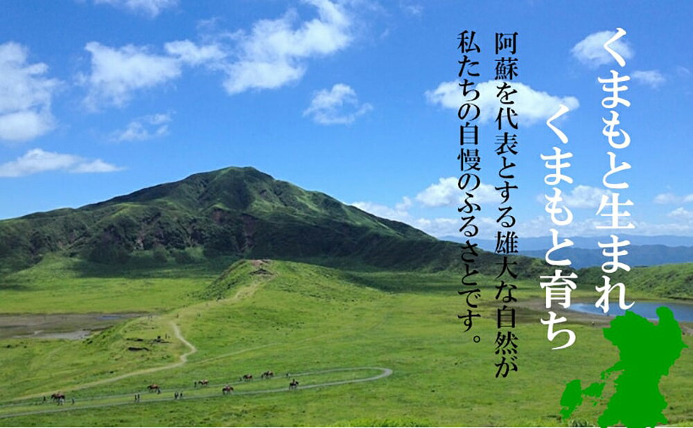 【ふるさと納税】熊本県産 GI認証取得 くまもとあか牛 焼き肉用切り落とし 合計600g 300g×2パック 牛肉 あか牛 お肉 冷凍 熊本県 益城町 送料無料