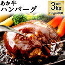 【ふるさと納税】熊本県産 GI認証取得 あか牛ハンバーグ 合計3kg 150g×20個 あか牛100%使用 あか牛 ハンバーグ おかず お肉 牛肉 赤牛 和牛 ...