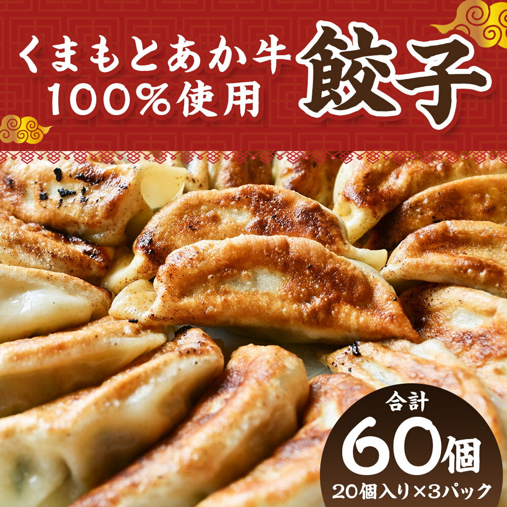 【ふるさと納税】くまもとあか牛100％餃子 合計60個 20個入り×3パック 赤牛 ぎょうざ 惣菜 おかず 国産 冷凍 送料無料 2