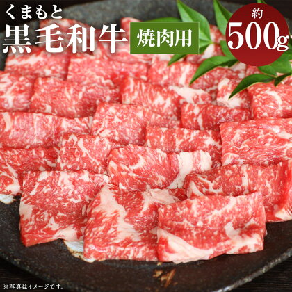 くまもと黒毛和牛 焼肉用 約500g お肉 焼き肉 熊本県産 牛肉 九州産 国産 冷凍 送料無料