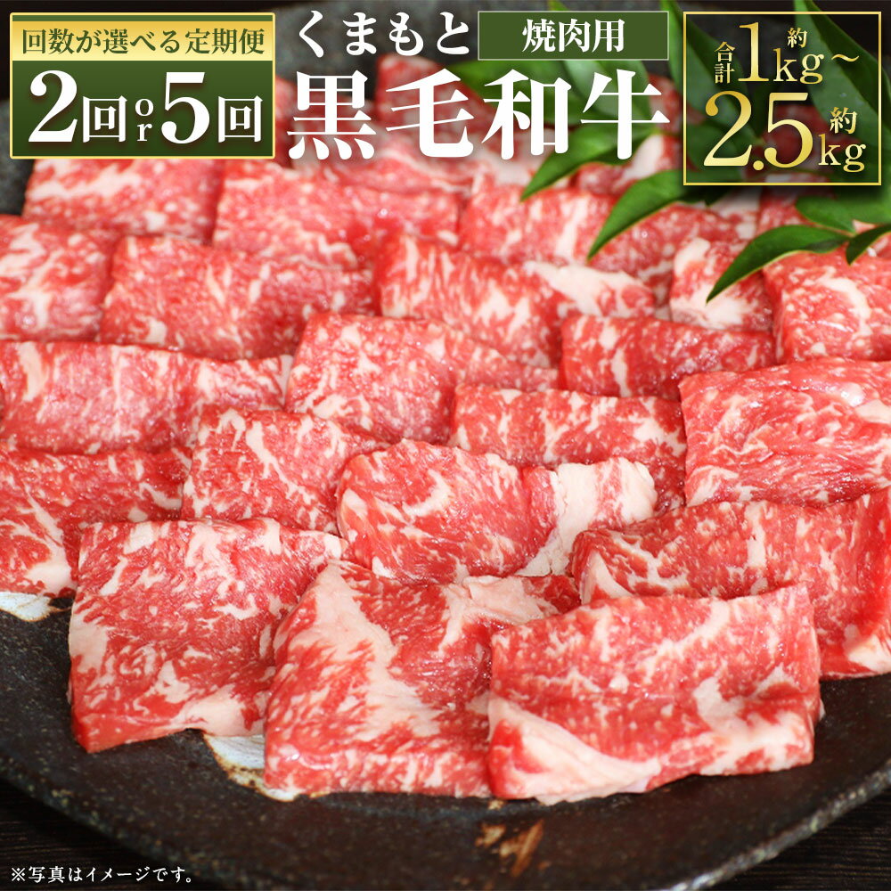 [選べる定期便]くまもと黒毛和牛 焼肉用 約500g 2ヶ月定期便/5ヶ月定期便 お肉 焼き肉 熊本県産 牛肉 九州産 国産 冷凍 送料無料