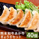 熊本和牛あか牛ぎょうざセット 20個入り×2箱 合計40個 熊本あか牛餃子 ぎょうざ 餃子 あか牛 牛肉 おかず 惣菜 冷凍 送料無料