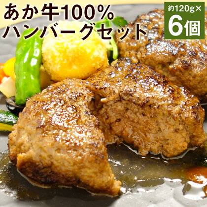 あか牛100％ハンバーグセット 約120g×6個 合計約720g あか牛のたれ200ml付き ハンバーグ 惣菜 おかず 個包装 小分け あか牛 牛肉 冷凍 送料無料