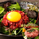 【ふるさと納税】鮮馬刺し赤身ユッケ10個セット 合計約500g 約50g×10パック 桜うまトロ60g セット 馬ユッケ たれ付き…